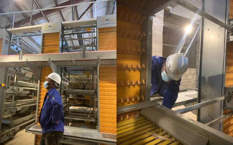 Automated Poultry Cage System Installation