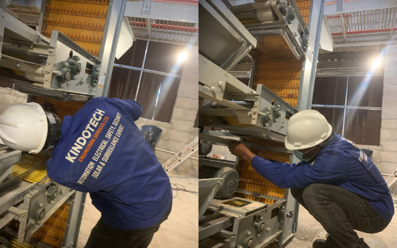 Mechanical Setup of Poultry Conveyor System